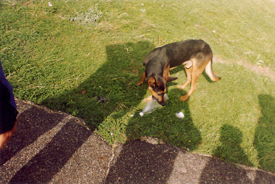 08.jpg